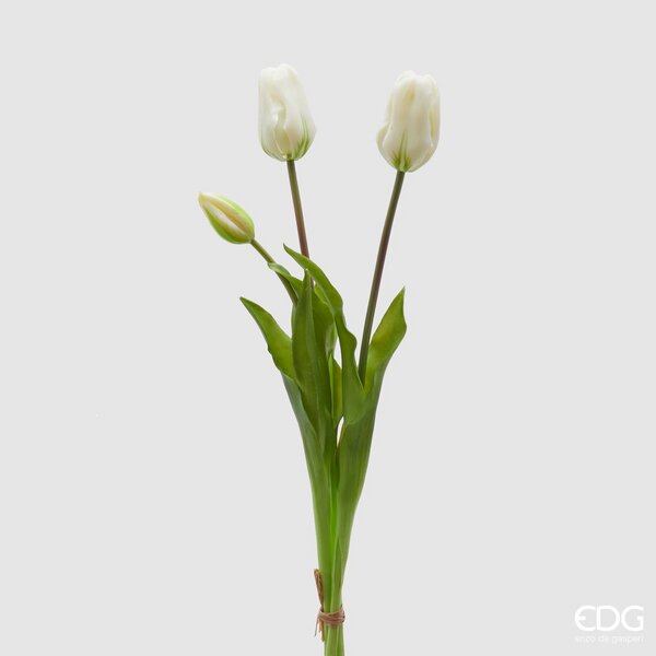 immagine-1-edg-enzo-de-gasperi-tulipano-gomma-olis-chiuso-5pz-h40-c4-white